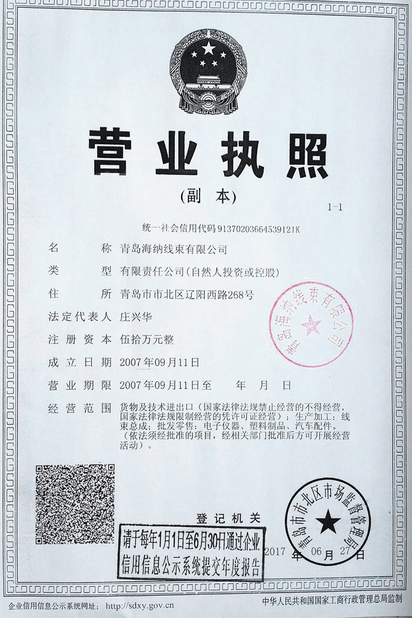چین Qingdao Hainr Wiring Harness Co., Ltd. گواهینامه ها